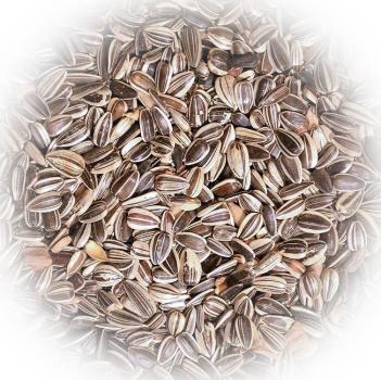 Preview: FumyFutter Sonnenblumenkerne 20 kg