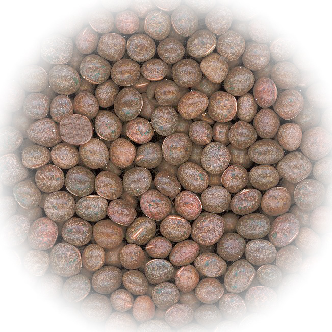 trockenrasen saatgut 1 kg VERDURMAX® Trockenrasen Samen– Höfer Chemie GmbH main image 1