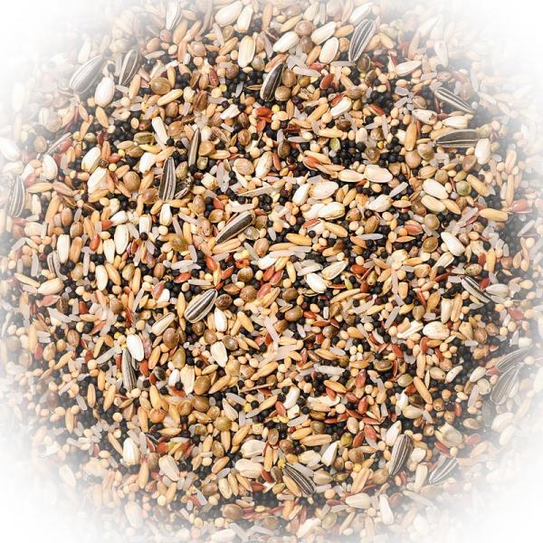 FumyFutter Nr. 20 Taubensämereien/Rennfutter 20 kg